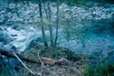 1992_Elwha_7