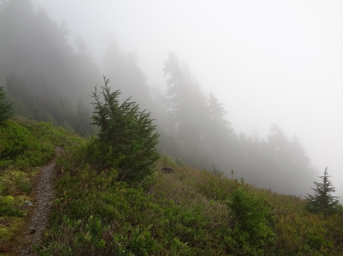 7CRJMfhgRrWPW3QIa8NWdw_thumb_49c1