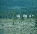 AlaskaD02