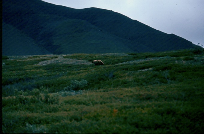 AlaskaF02