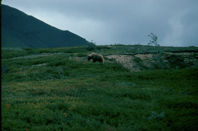 AlaskaG