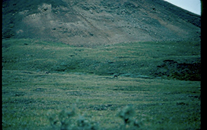 AlaskaH
