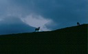 AlaskaP01