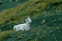 AlaskaX01