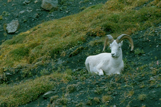 AlaskaX02