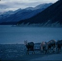 AlCanHwy_BC_M02