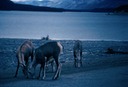 AlCanHwy_BC_M03