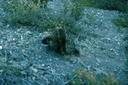AlCanHwy_YU_O01