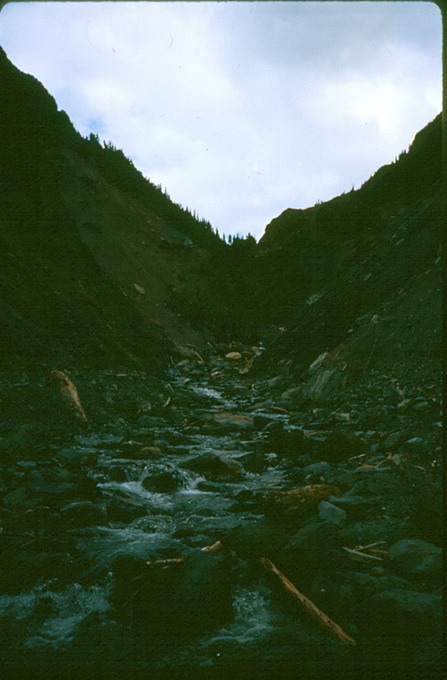 BailyTrip3n10