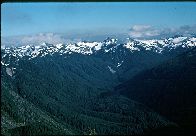 BailyTripII10
