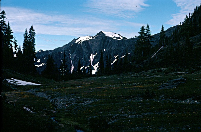 BailyTripIIIn2901
