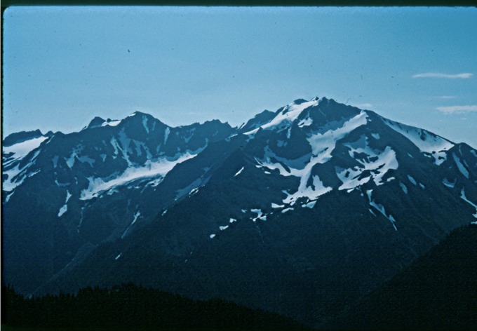 BailyTripIn2903