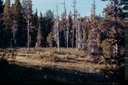 BCflightF01
