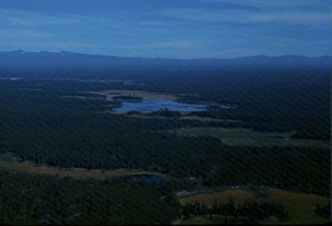 BCflightH03