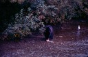 BearsE