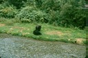 BearsK02