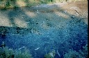 BearsZC03