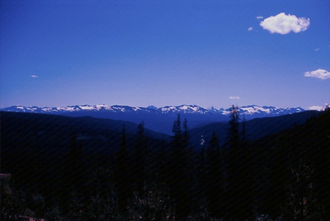 BellaCoola_If01