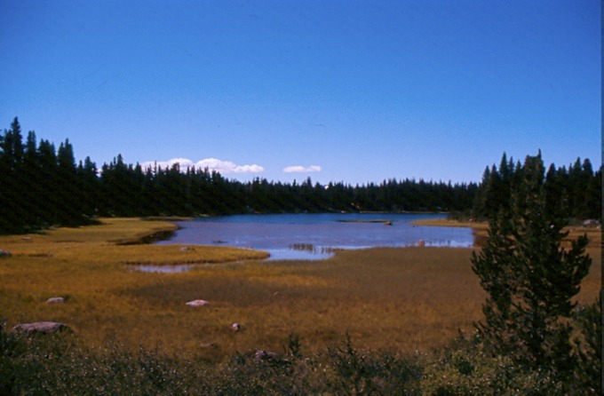 BellaCoola_Iv01