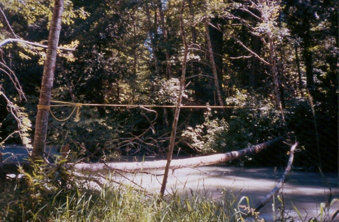 BellaCoola_Iz03
