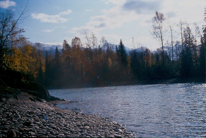 BulklyB