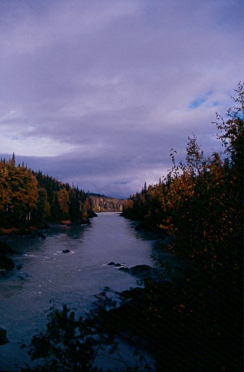 CassiarD01