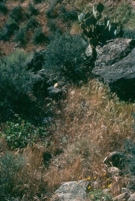 d5ZvR9ufTauZI0MszgzaUg_thumb_563d