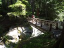 DSC00265