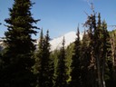 DSC00350