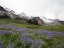DSC00352