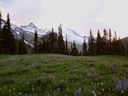 DSC00357