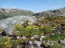 DSC00363