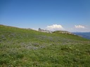 DSC00387