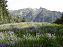 DSC00421