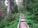 DSC00941