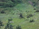 DSC00943