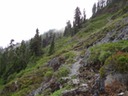 DSC00965