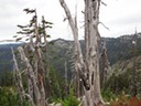DSC00993