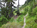 DSC01003