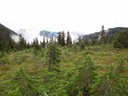 DSC01015