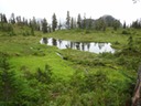 DSC01018