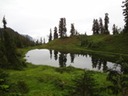DSC01019