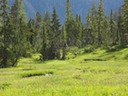 DSC01037