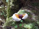 DSC01046