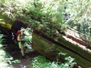 DSC01050