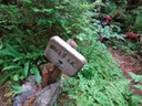 DSC01051