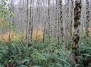 DSC01871