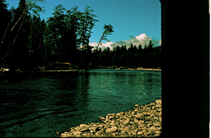 EQuinFishSDV5