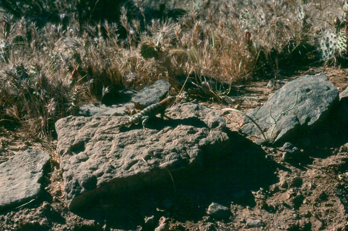 EV0W6YjURgaQNEzm0qj5Zg_thumb_5637