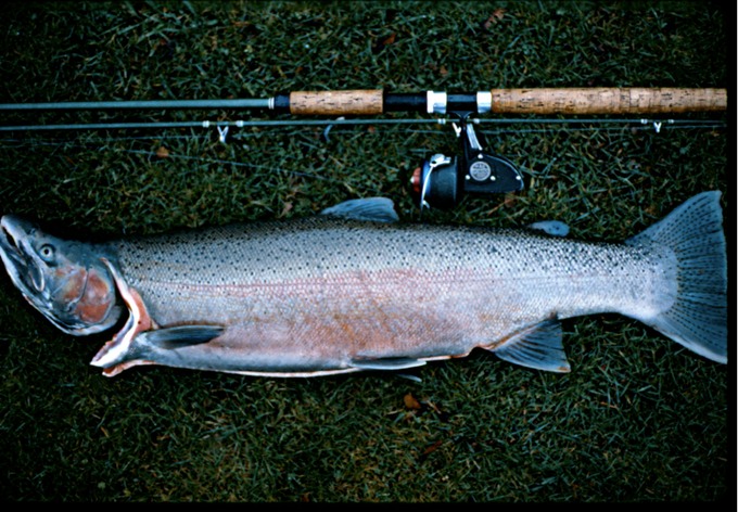 FishingIb